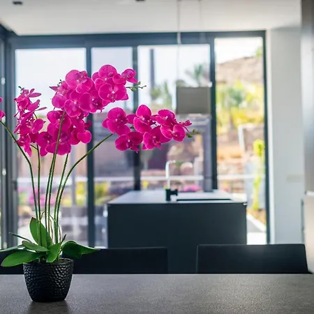 Willa Blue Horizon By Monte Leon